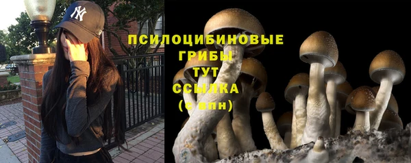 прущая мука Лихославль