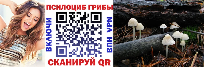 darknet наркотические препараты  Юрюзань  Псилоцибиновые грибы мухоморы 